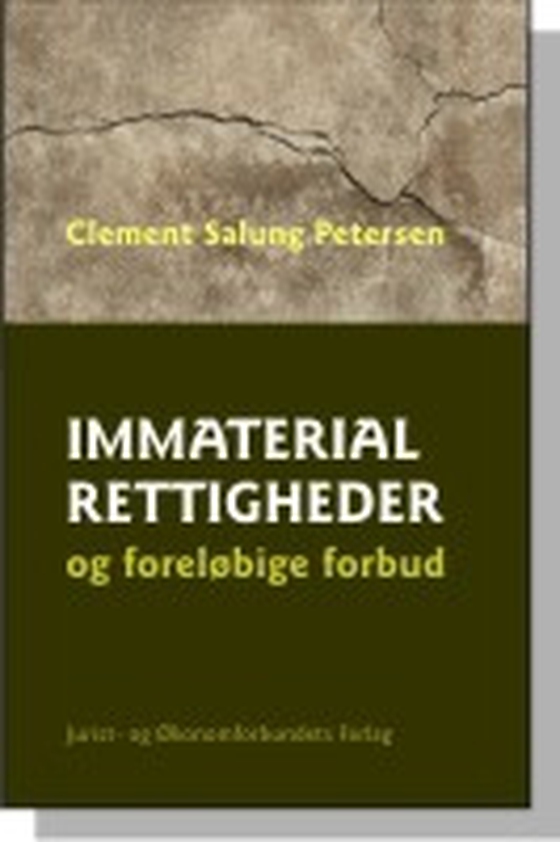 Immaterialrettigheder og foreløbige forbud (e-bog) af Clement Salung Petersen