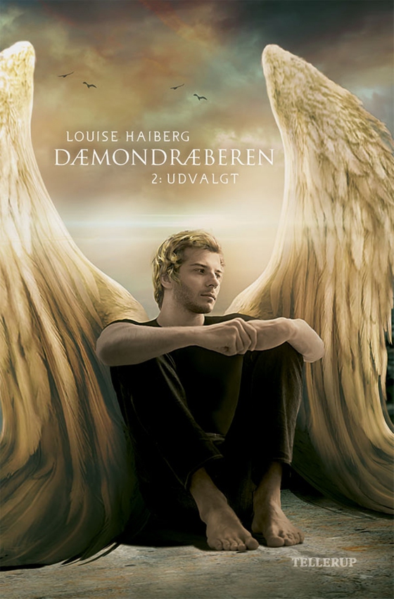 Dæmondræberen #2: Udvalgt (e-bog) af Louise Haiberg
