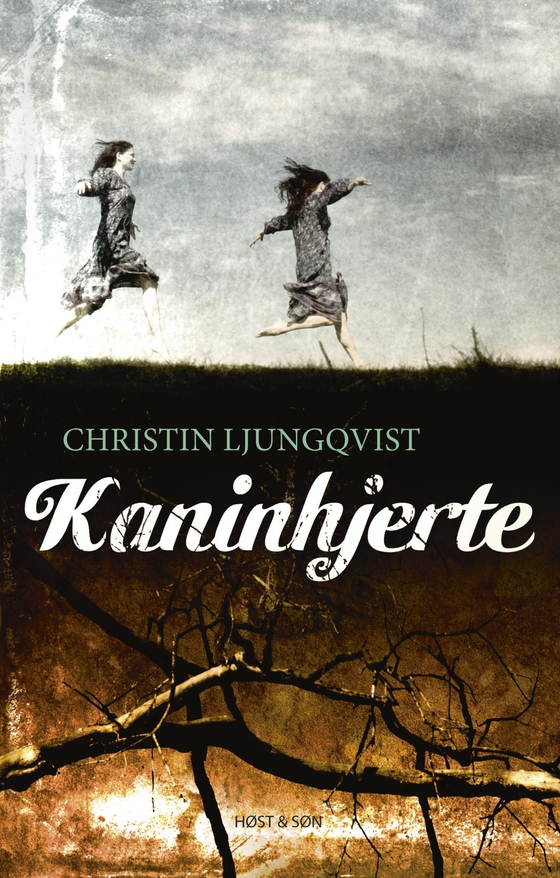 Kaninhjerte (e-bog) af Christin Ljungqvist