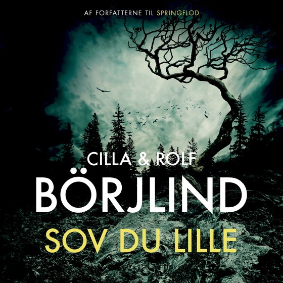 Sov du lille (lydbog) af Cilla og Rolf Börjlind