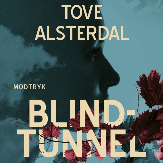 Blindtunnel (lydbog) af Tove Alsterdal