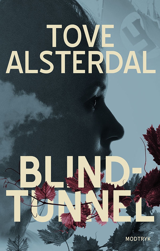 Blindtunnel (e-bog) af Tove Alsterdal