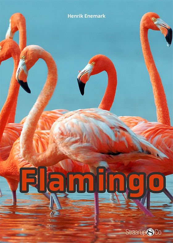 Flamingo (e-bog) af Henrik Enemark