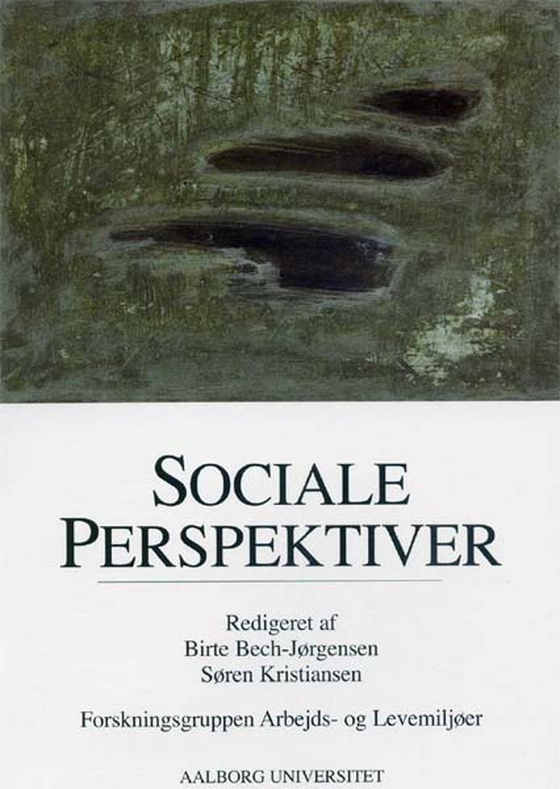 Sociale perspektiver (e-bog) af Birte Bech-Jørgensen