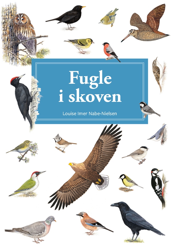 Fugle i skoven