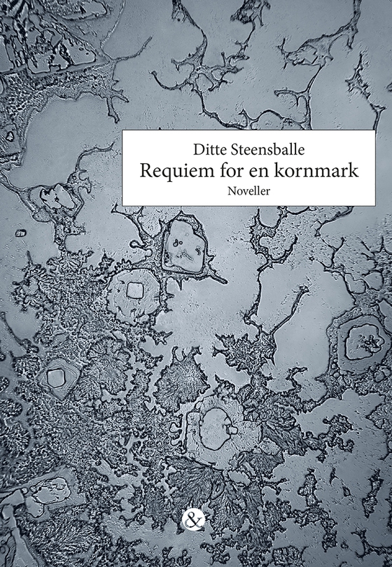 Requiem for en kornmark (lydbog) af Ditte Steensballe