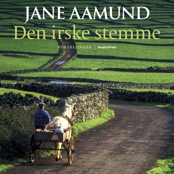 Den irske stemme (lydbog) af Jane Aamund