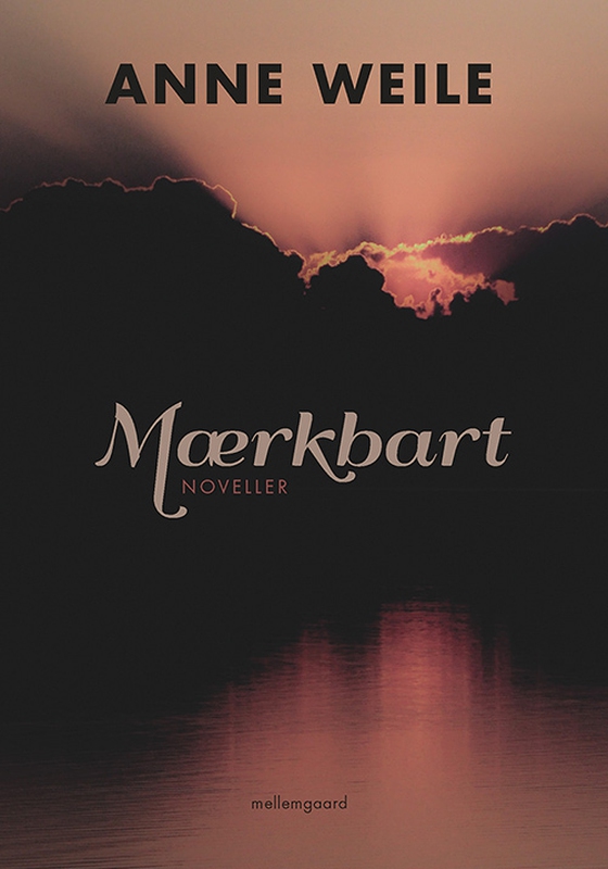 Mærkbart (e-bog) af Anne Weile