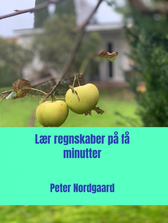 Lær regnskaber på få minutter - Vil du gerne forstå regnskaber? (e-bog) af Peter Nordgaard