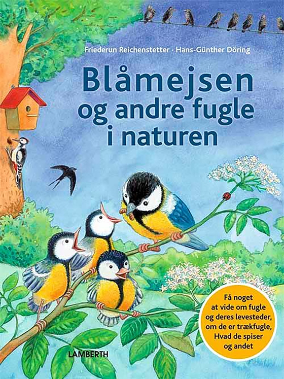 Blåmejsen og andre fugle i naturen