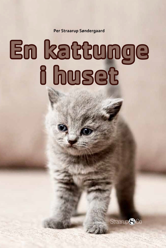 En kattunge i huset (norsk)