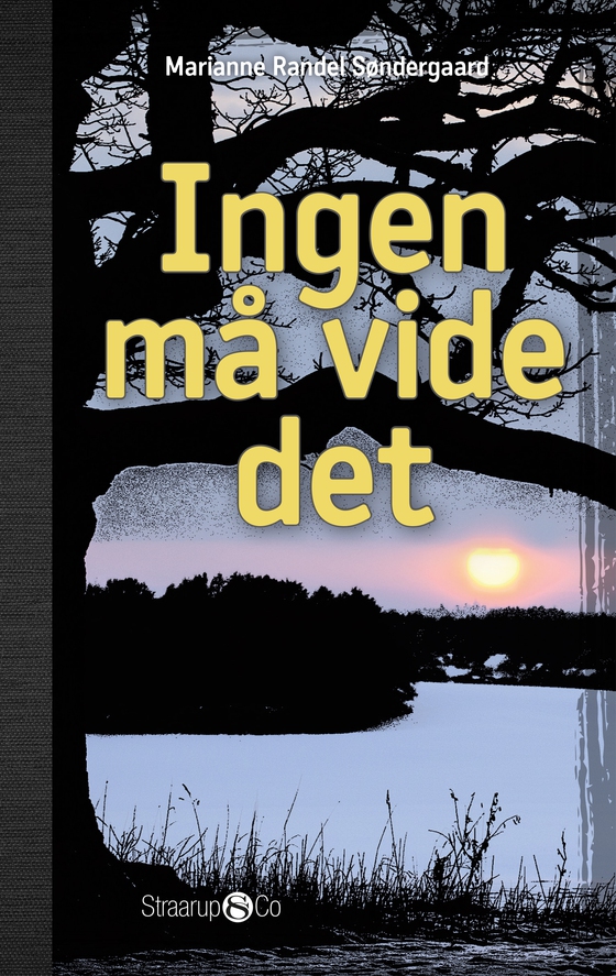 Ingen må vide det (lydbog) af Marianne Randel Søndergaard