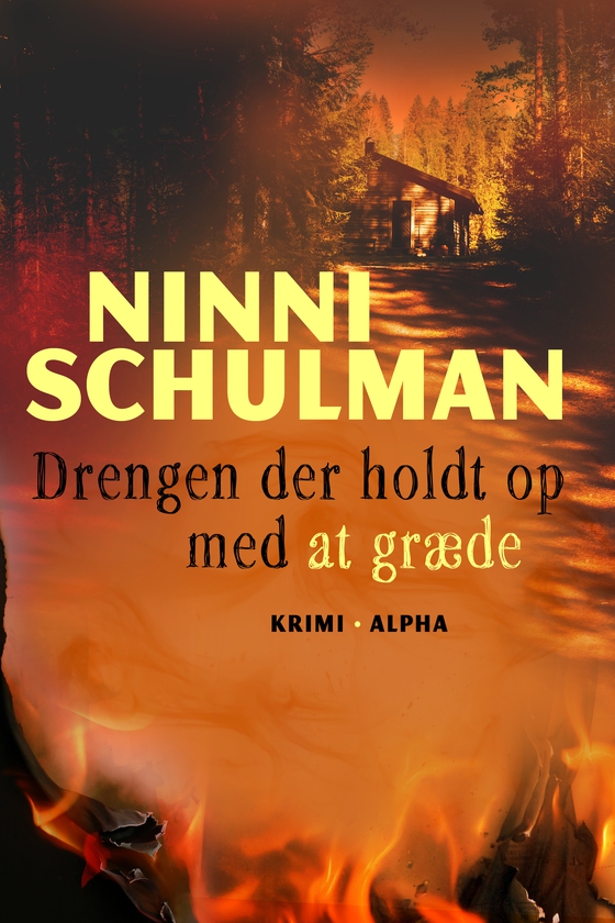 Drengen der holdt op med at græde (e-bog) af Ninni Schulman