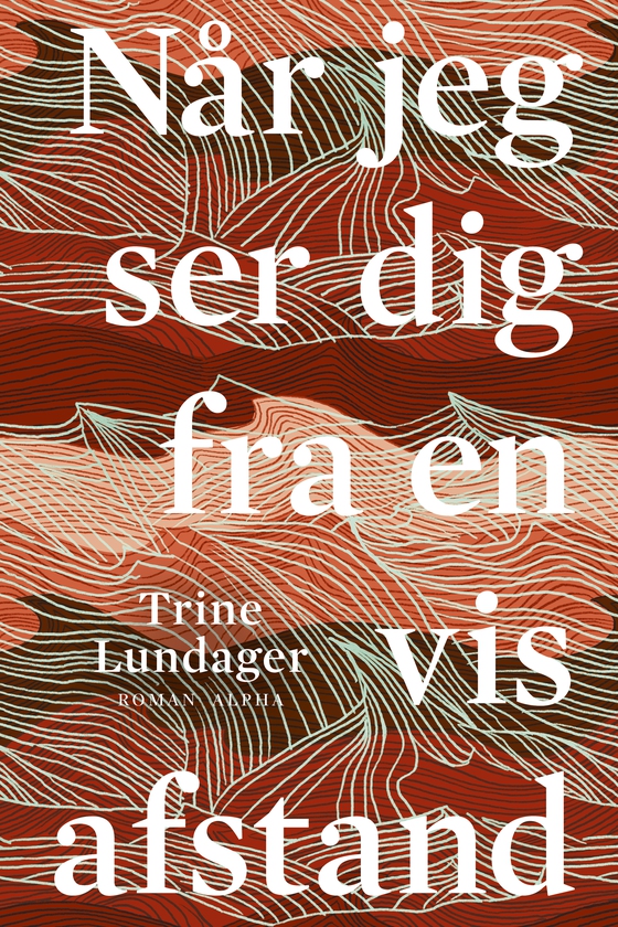 Når jeg ser dig fra en vis afstand (e-bog) af Trine Lundager