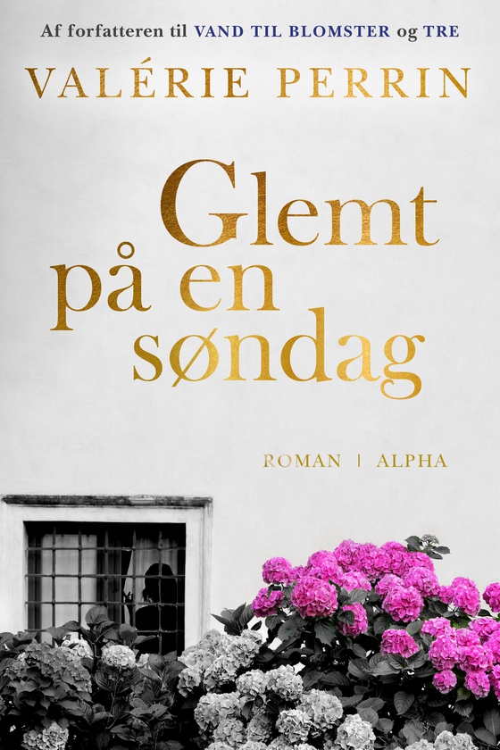 Glemt på en søndag (e-bog) af Valérie Perrin