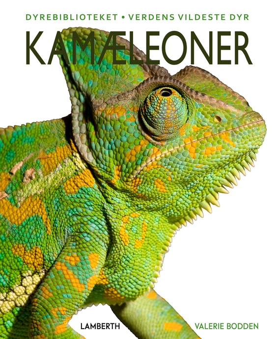 Kamæleoner