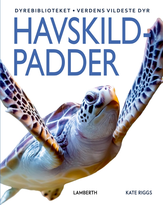 Havskildpadder