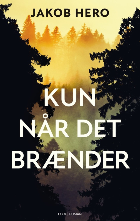 Kun når det brænder (lydbog) af Jakob Hero