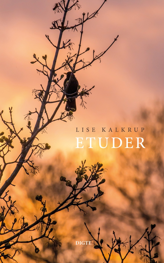 Etuder (e-bog) af Lise Kalkrup