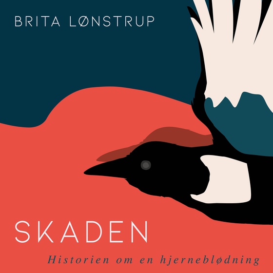 Skaden - historien om en hjerneblødning (e-bog) af Brita Lønstrup