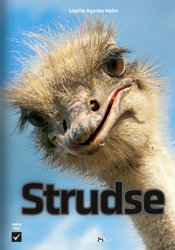 Strudse (e-bog) af Lisette Agerbo Holm