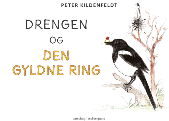 DRENGEN OG DEN GYLDNE RING