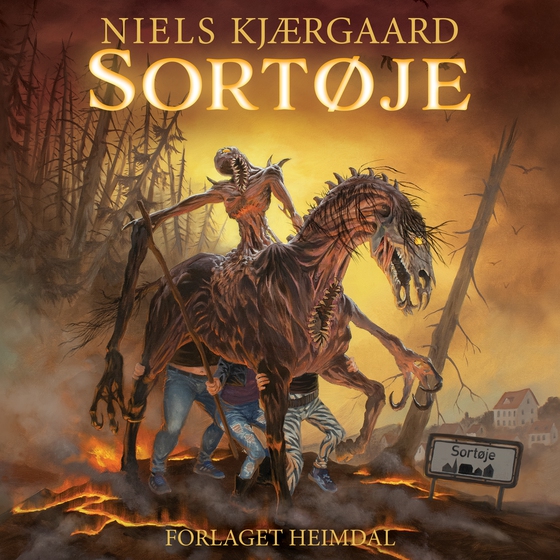 Sortøje (lydbog) af Niels Kjærgaard