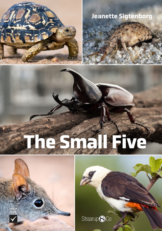 The Small Five (e-bog) af Jeanette Sigtenborg