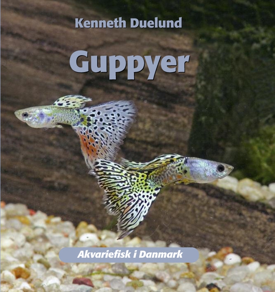 Guppyer (e-bog) af Kenneth Duelund