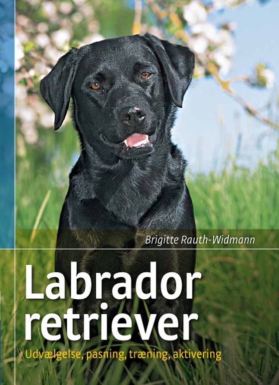 Labrador retriever - Udvælgelse, pasning, træning, aktivering (e-bog) af Brigitte Rauth-Widmann