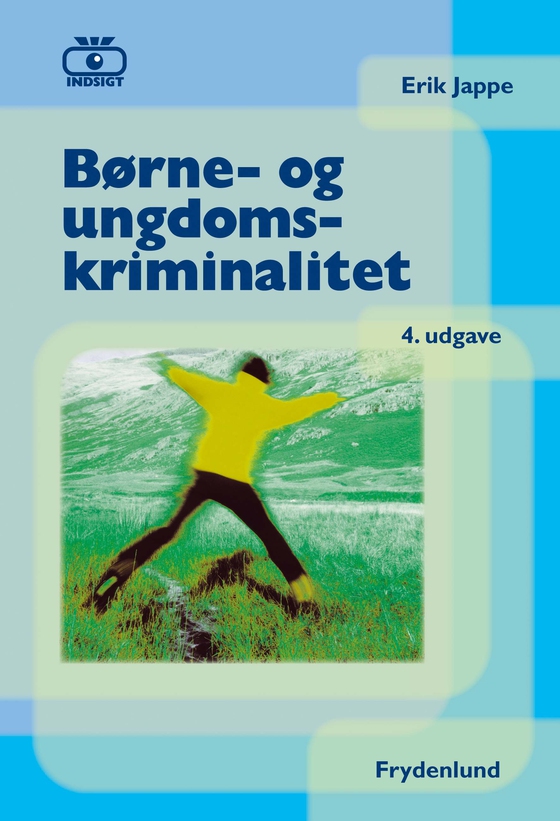 Børne- og ungdomskriminalitet (e-bog) af Erik Jappe