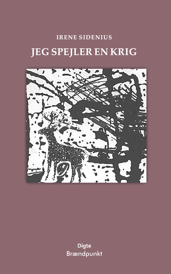 Jeg spejler en krig (e-bog) af Irene Sidenius