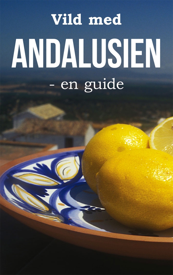 Vild med Andalusien - - en guide (e-bog) af Per H. Jacobsen