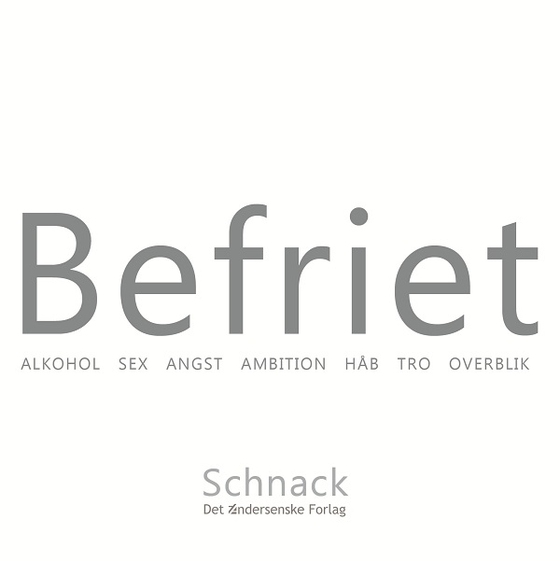 Befriet - Alkohol, sex, angst, ambition, håb, tro, overblik (e-bog) af Asger Schnack