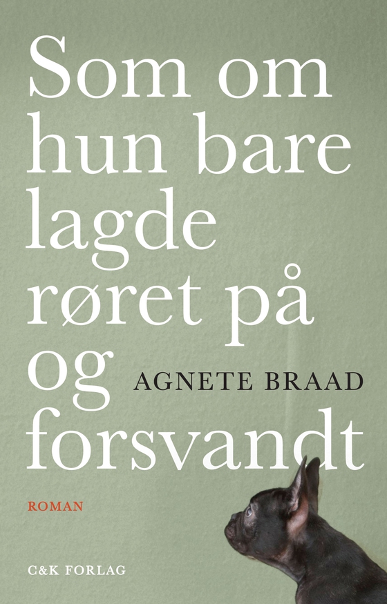 Som om hun bare lagde røret på og forsvandt (e-bog) af Agnete Braad