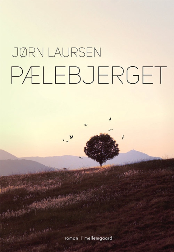 Pælebjerget (e-bog) af Jørn Laursen