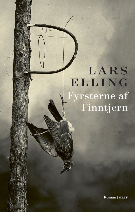 Fyrsterne af Finntjern (lydbog) af Lars Elling