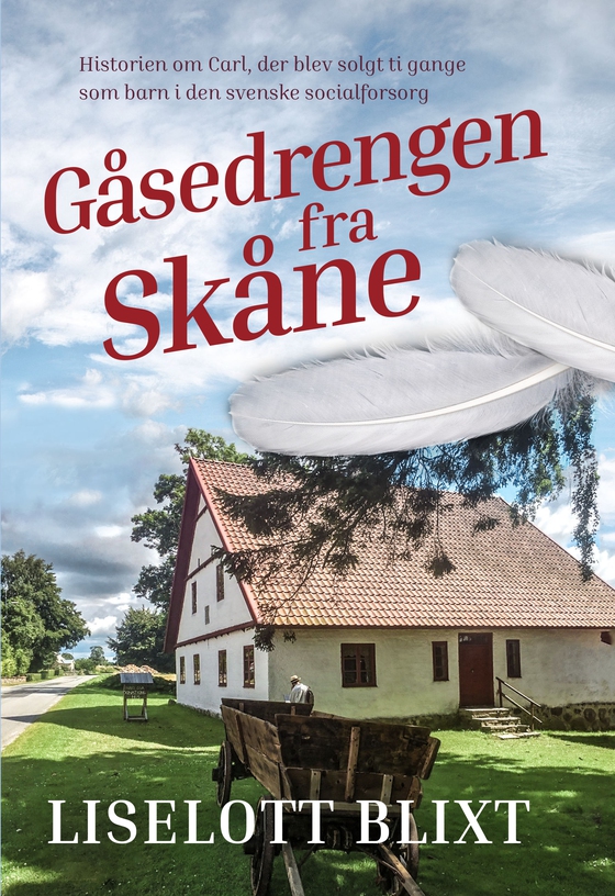 Gåsedrengen fra Skåne