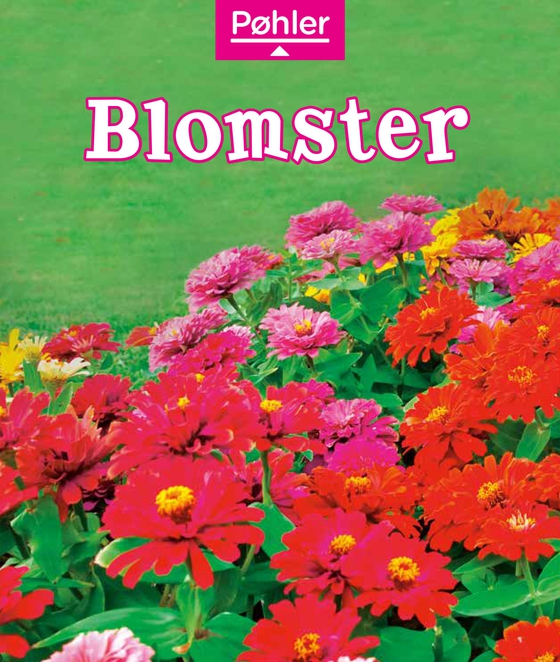 Blomster