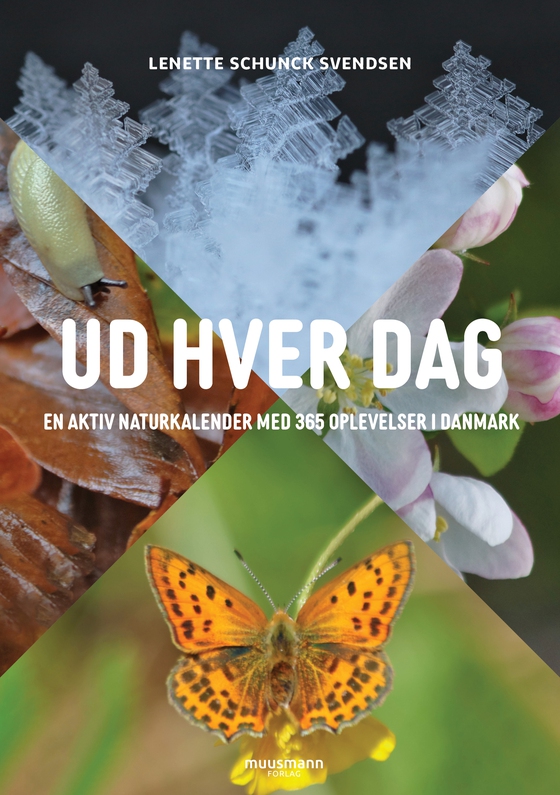 Ud hver dag - En aktiv naturkalender med 365 oplevelser i Danmark (e-bog) af Lenette Schunck