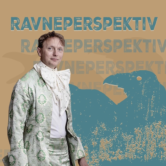 Ravneperspektiv