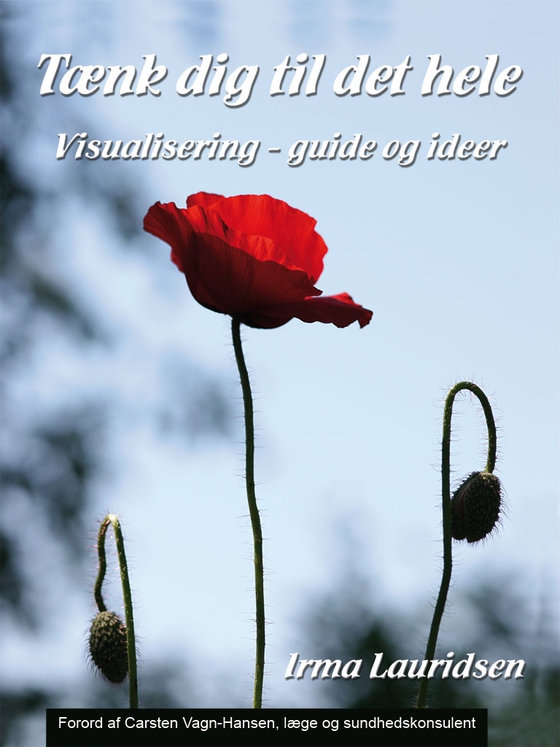 Tænk dig til det hele - Visualisering - guide og ideer (e-bog) af Irma Lauridsen