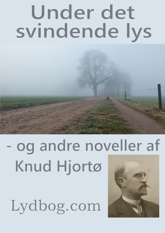 Under det svindende lys - og andre noveller