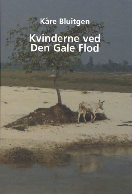 Kvinderne ved Den Gale Flod (e-bog) af Kåre Bluitgen