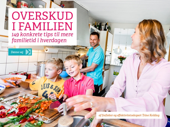 Overskud i familien - - 149 konkrete tips til mere familietid i hverdagen (e-bog) af Trine Kolding