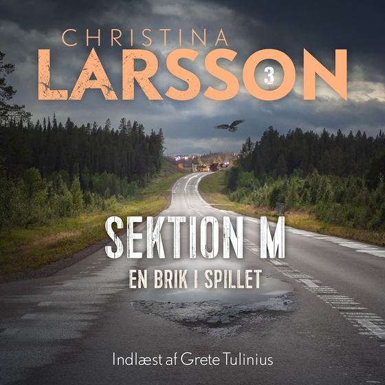 Sektion M III (lydbog) af Christina Larsson