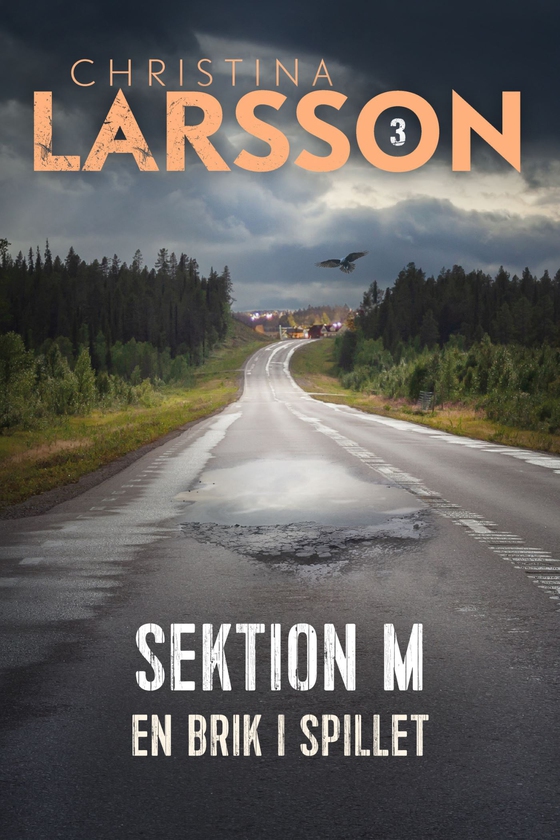 Sektion M III (e-bog) af Christina Larsson