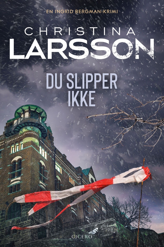Du slipper ikke - 3 (e-bog) af Christina Larsson