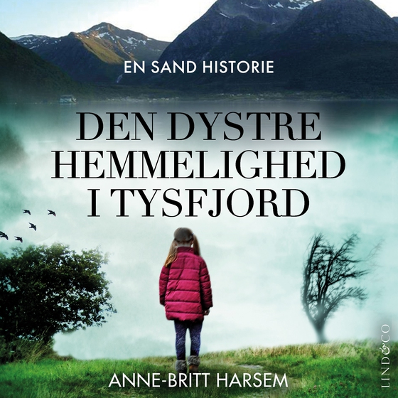 Den dystre hemmelighed i Tysfjord : En sand historie