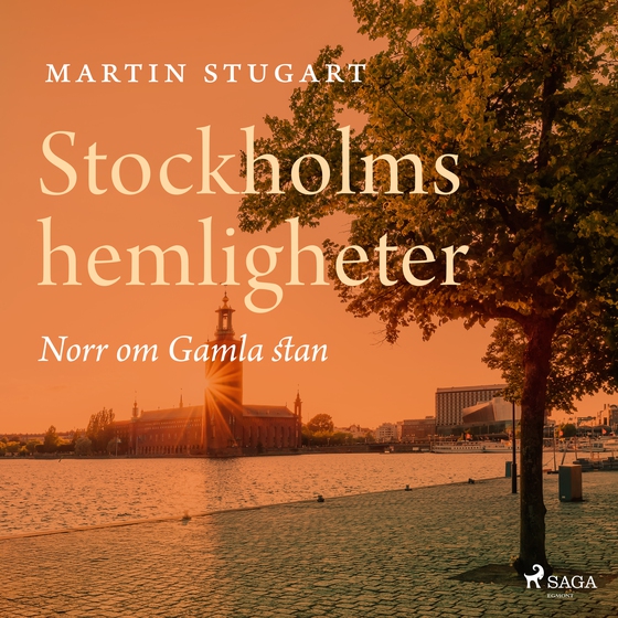 Stockholms hemligheter - Norr om Gamla stan (lydbog) af Martin Stugart